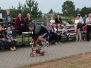 Dożynki Gminne - Rogowo - Na sportowo 2017.08.19-340