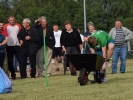 Dożynki Gminne - Rogowo - Na sportowo 2017.08.19-494