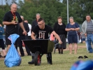 Dożynki Gminne - Rogowo - Na sportowo 2017.08.19-520