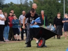 Dożynki Gminne - Rogowo - Na sportowo 2017.08.19-522