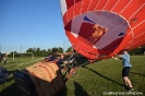 Pokazy balonowe 2016-120