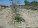 POMOC POWODZIANOM. WILKOW.-25